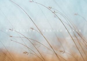 Hans-Joachim Roedelius & Arnold Kasar – Zensibility Album